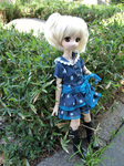 p_shop201104_02.jpg